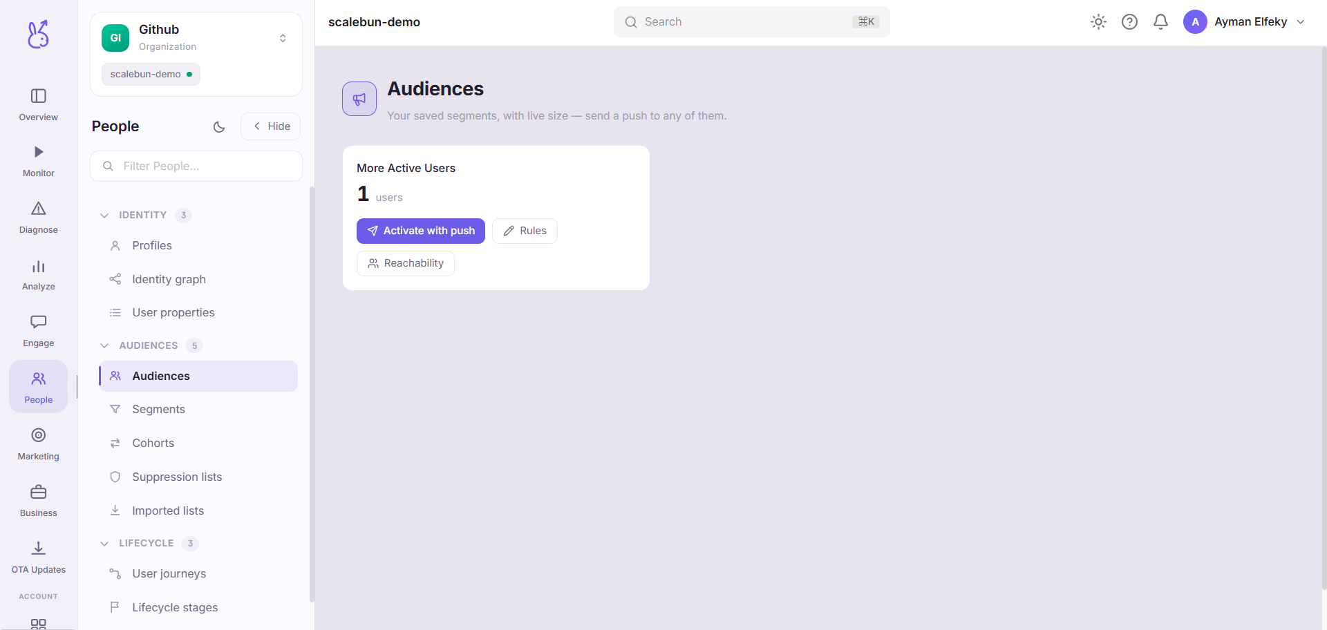 ScaleBun Audiences dashboard
